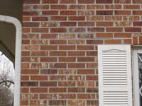 wall repair