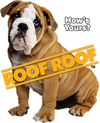 Roof Roof Dog