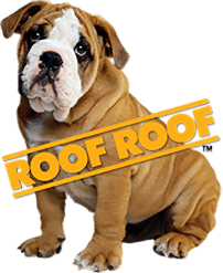 Roof Roof Dog