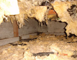 Crawl E Ventilation Vs Sealing Pros And Cons Of When Crawl E Insulation Is Saturated With Water It Drips Off Onto The Floor