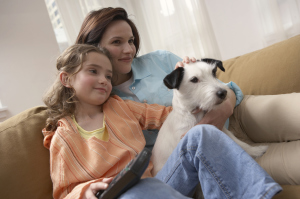 Comfortable Living Home Comfort