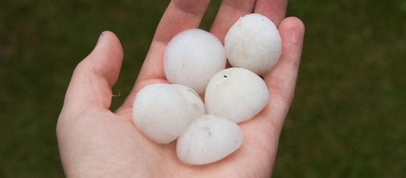 Hail A man holding hail stones