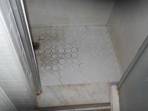 Bathroom Mold Removal Remediation Near Evansville