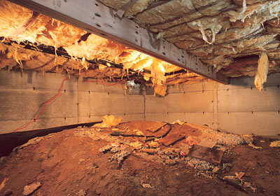 Crawl Space Insulation Experts In Insulating Crawl Spaces