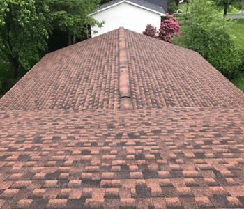 Asphalt Shingle Roof