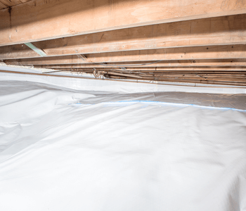 What is Crawl Space Encapsulation?