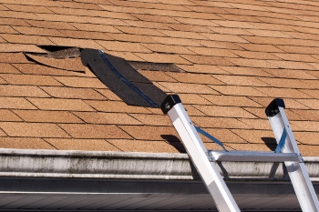 Checking Your Roof