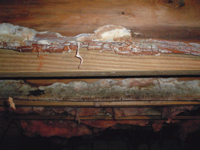Floor Joist Reinforcement And Replacement Near Charlotte Concord
