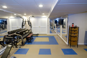 Basement Home Gym Ideas Designs Total Basement Finishing