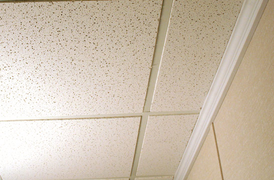 Basement Drop Ceiling Tiles Total Basement Finishing