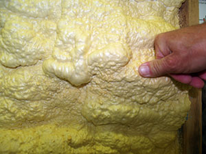 does closed cell foam absorb water does closed cell foam absorb water