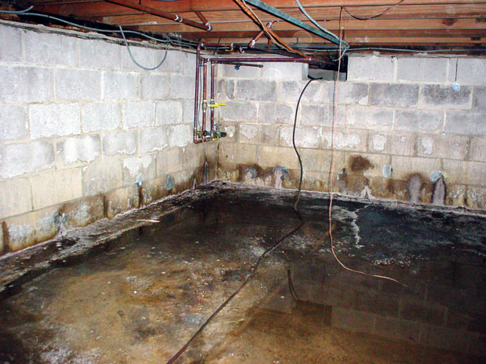 Dirt Floor Basement Smells – Clsa Flooring Guide