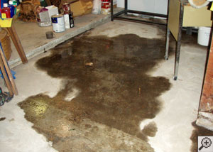 Rotting Basement Floors | Basement Flooring Damaged By Rot, Mold, & Water