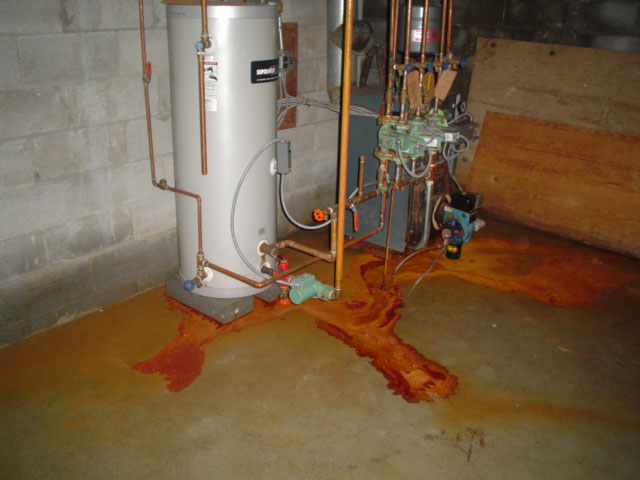 Iron Bacteria Iron Ochre In Wet Basement Environments