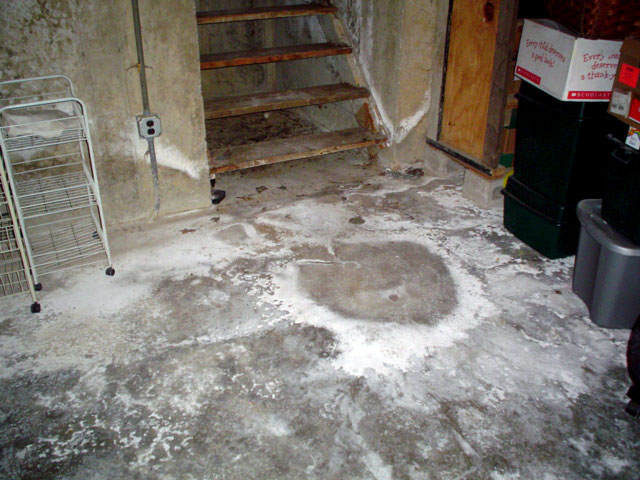 Rotting Basement Floors Basement Flooring Damaged By Rot Mold