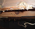 Foundation Waterproofing