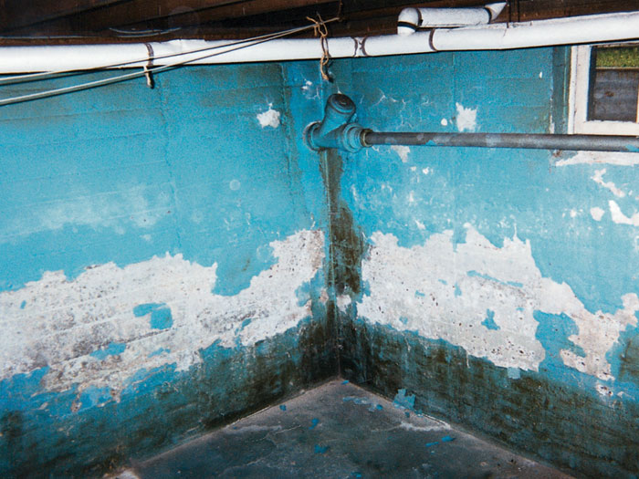 The Case Against Waterproof Paints & Wall Coatings | Why Waterproof