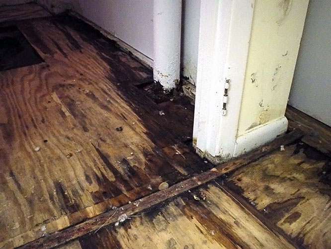 Rotting Basement Floors Basement Flooring Damaged By Rot Mold