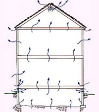 Crawl Space Mold & Rot Issues