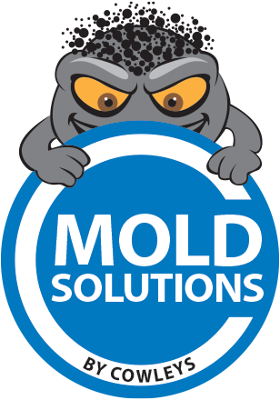 Toms River Woodbridge Cherry Hill NJ Mold Removal & Mold