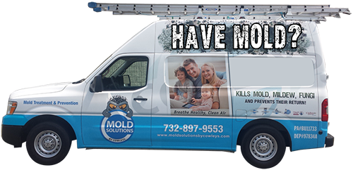 Toms River Woodbridge Cherry Hill NJ Mold Removal & Mold