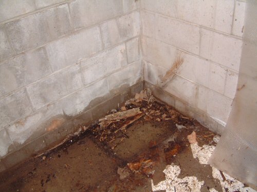 Warning Signs Of Basement Moisture And Leaking Problems In