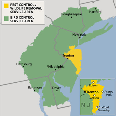 Cowleys Pest Services service area