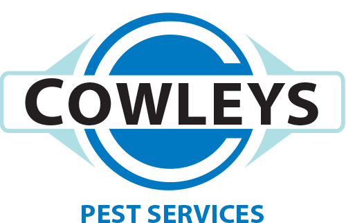 Pest Control Services Extermination Company In Mercer Ocean Cowleys Pest Services
