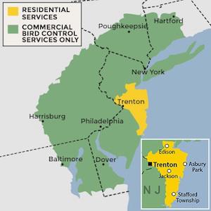 New Jersey wildlife removal service area
