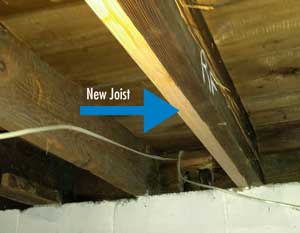 Termite Damage Repair Contractor In Edison Woodbridge Lakewood Nj